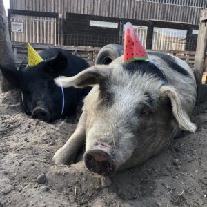 biggen Barry & Rosita van De VerbroederIJ